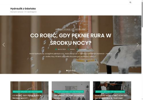 1hydraulikgdansk.pl