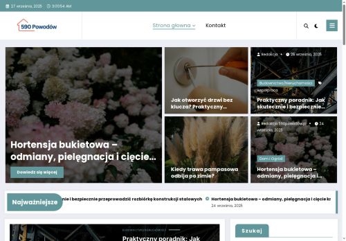 590powodow.pl