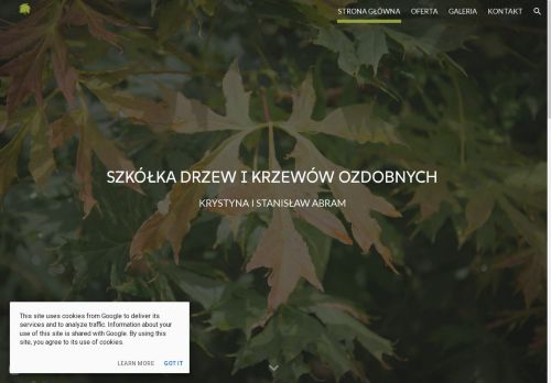 abram-szkolka.com.pl