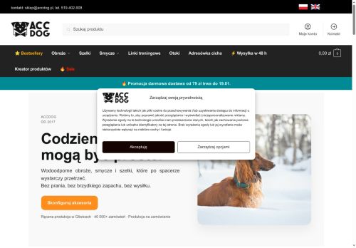 accdog.pl