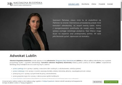 adwokat-budzinska.pl