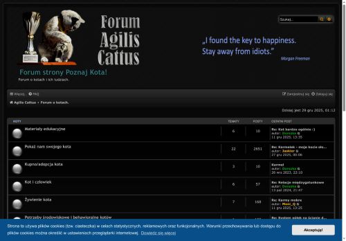 agiliscattus.pl