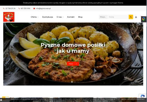 agnes.waw.pl
