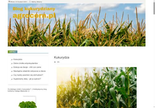 agrocorn.pl
