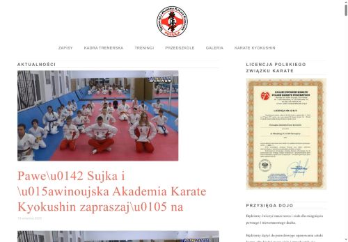 akademiakyokushin.com