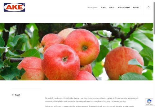ake.com.pl