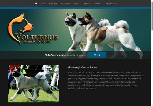 akita-volturnus.pl
