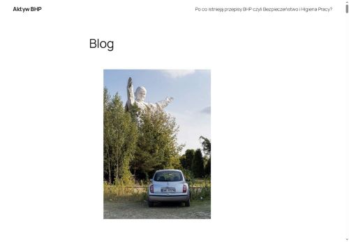 aktyw-bhp.com.pl