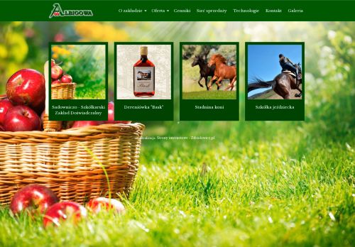 albigowa.com.pl
