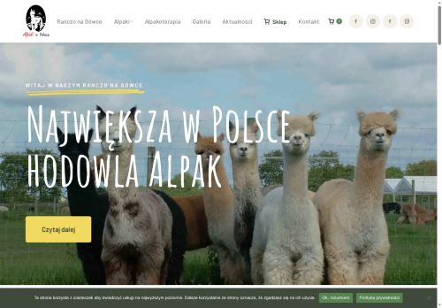 alpaki.pl