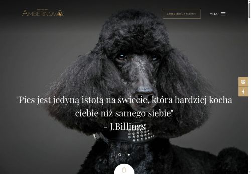 ambernova.pl