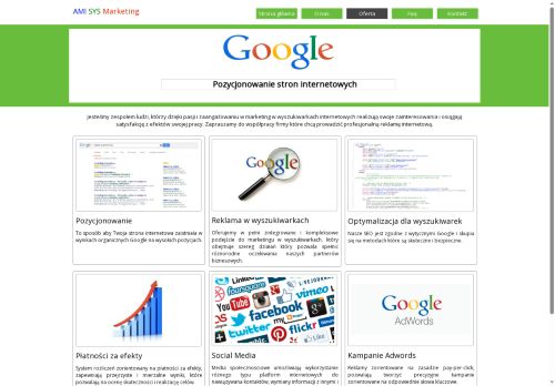 ami-sys.com.pl