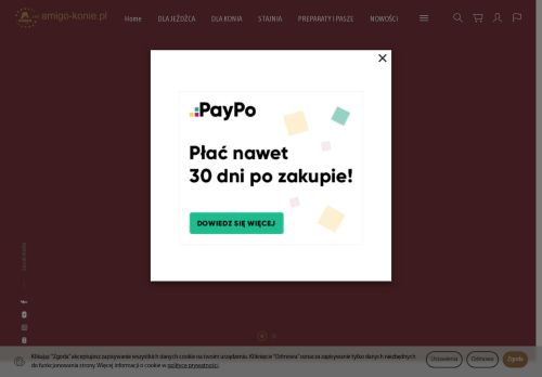 amigo-konie.pl