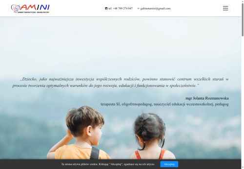 amini.com.pl