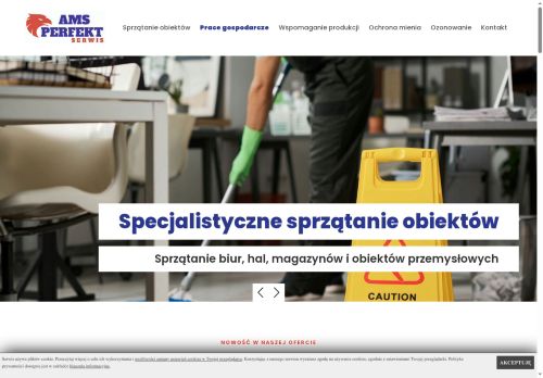 ams-perfekt.pl