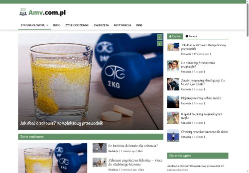 amv.com.pl