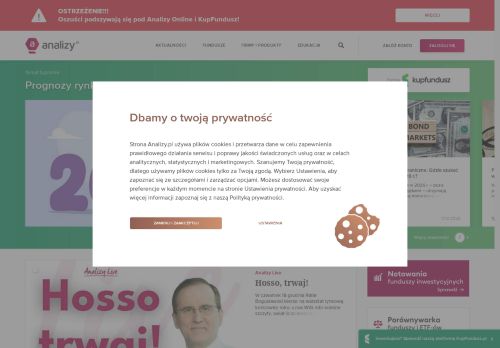 analizy.pl