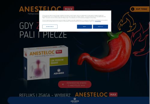 anestelocmax.pl