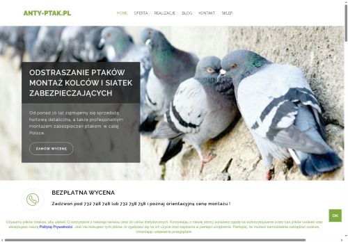 antyptak.pl