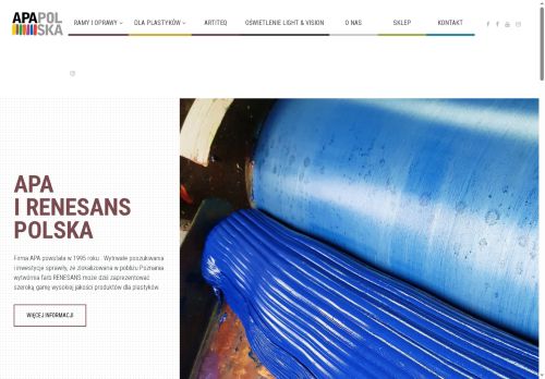 apapolska.pl