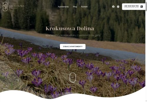 apartamentykrokusowadolina.pl