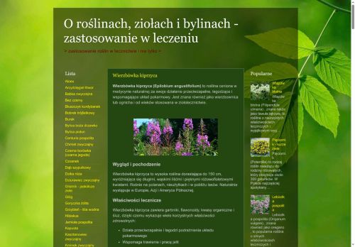 aptekazielona.blogspot.com