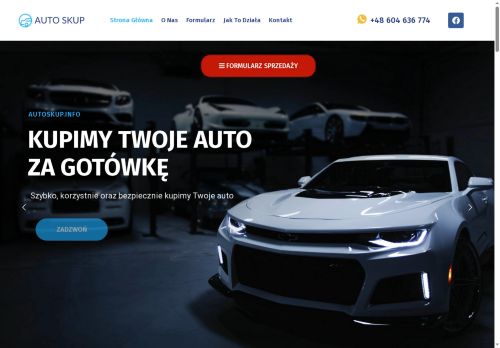autoskup.info