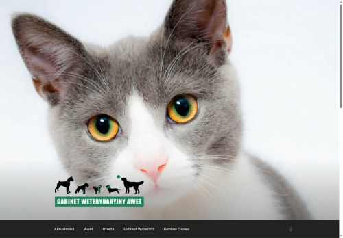 awet.com.pl