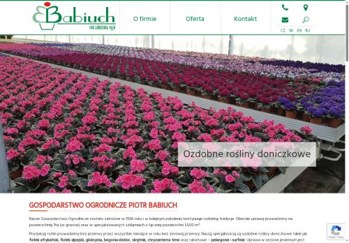 babiuch.com.pl