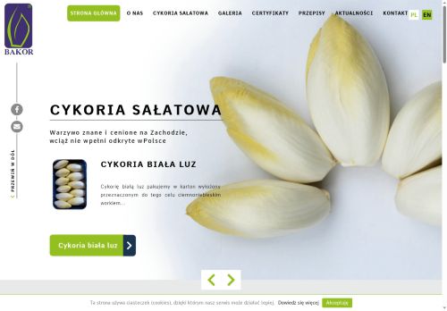 bakor.com.pl