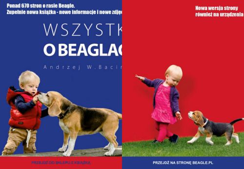 beagle.pl