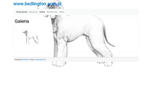 bedlington.com.pl