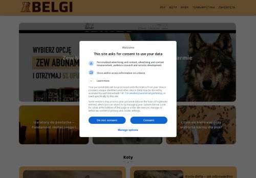belgi.pl