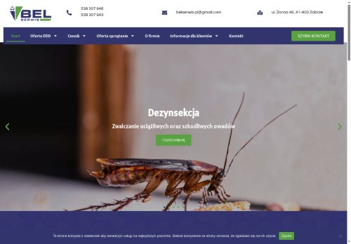 belserwis.pl