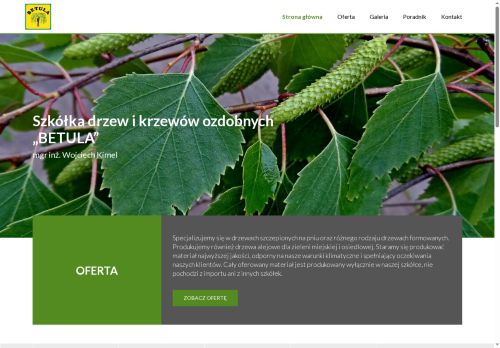 betula.com.pl