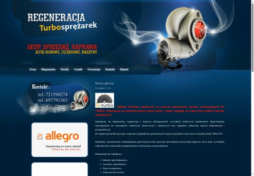 bi-turbo.pl