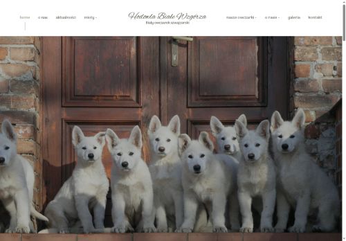 bialewzgorza.pl