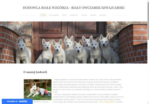 bialyowczarekszwajcarski.weebly.com