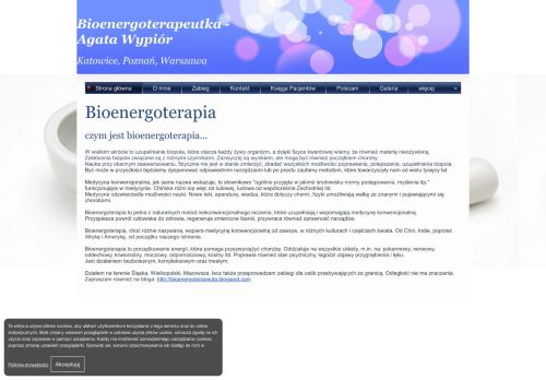 bioenergoterapeuta.katowice.pl