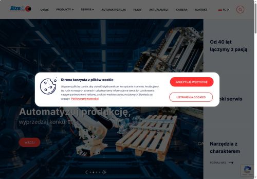 bizea.com.pl