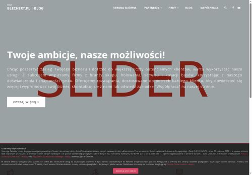 blechert.pl