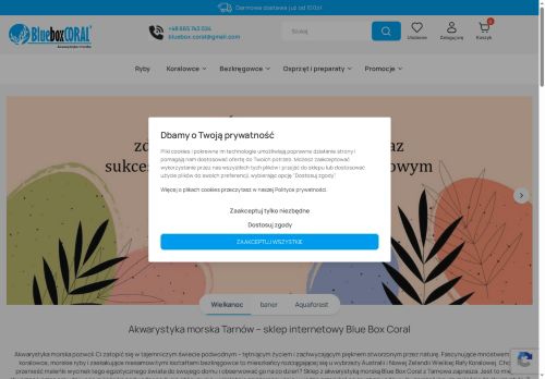 blueboxcoral.pl