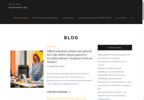 bluseo.pl