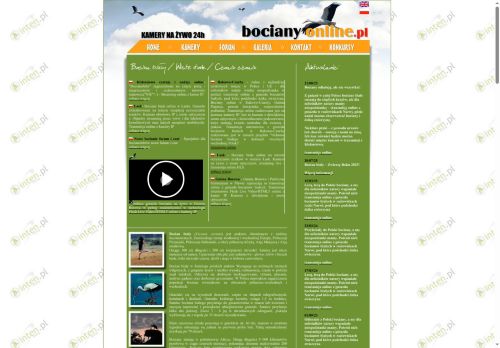 bocianyonline.pl