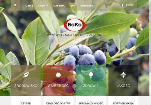 boko.pl