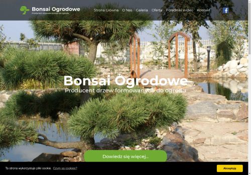 bonsaiogrodowe.pl