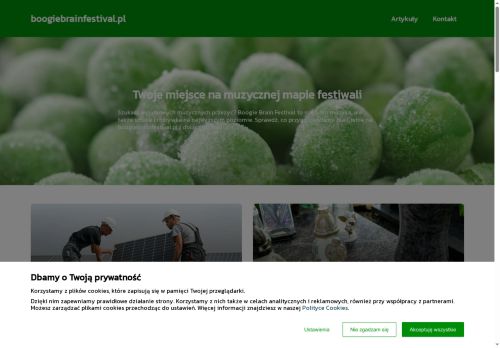 boogiebrainfestival.pl