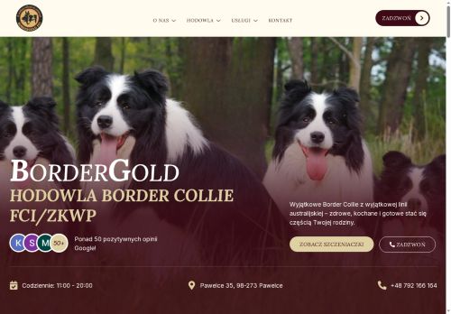 bordergold.pl