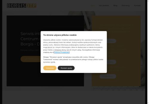 borgis-dtp.pl