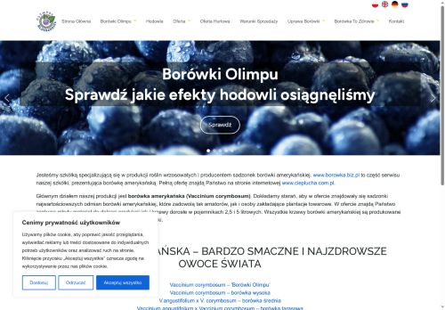 borowka.biz.pl